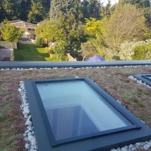 Green Roof to House extension in South London